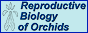 WEB-портал Репродуктивная биология орхидных